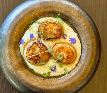 Сахалинский гребешок с кремом из цветной капусты 