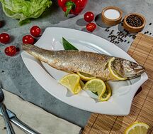 Сибас чиллийский