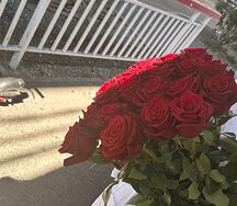 Роза метровая