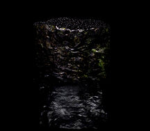 Нигири с чёрной тобико