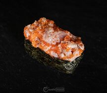 Гункан Хот кунсей