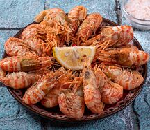 Креветка Морской Дракон