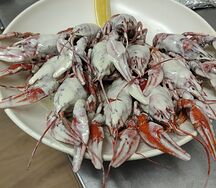 Раки вареные