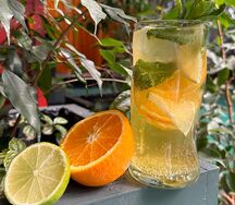 Лимонад Цитрусовый