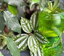 Лимонад Тархун