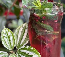 Лимонад Ежевика-мята