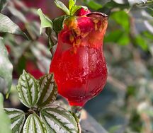 Лимонад Малина-маракуйя