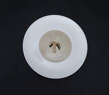 Սնկով կրեմ ապուր