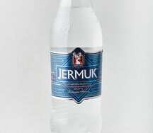 Ջերմուկ