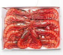 Gambas rose