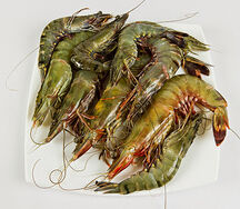 Gambas tigrés