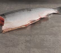 Тушка нерки