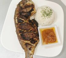 Dorade
