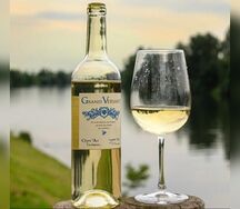 Vin blanc grand versant