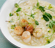 Ризотто с гребешком