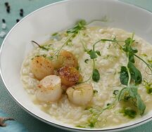 Ризотто с гребешком