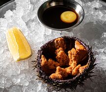 Морской ёж дальневосточный