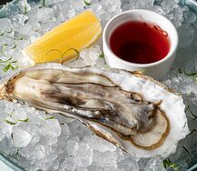 Устрица императорская