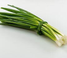 Лук зеленый