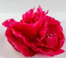 Капуста квашеная красная