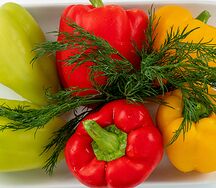 Перец болгарский