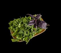 Свежая зелень