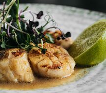 Гребешок с имбирно-трюфельным соусом