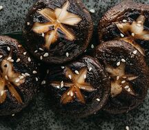 Грибы шиитаке