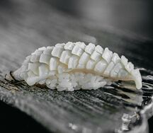 Суши с кальмаром