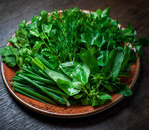 Свежая зелень