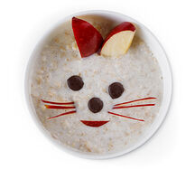 Овсяная каша Зайка