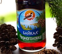 Черноголовка Байкал 
