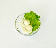 Яйцо под майонезом