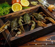 Раки Волжские Xl