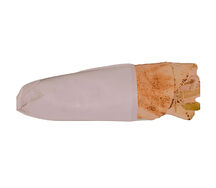 Chawarma poulet