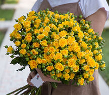 Փնջային վարդեր Palmi դեղին