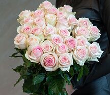 Վարդեր Revival Sweet L №102409