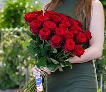 Վարդեր Red Naomi M №102608