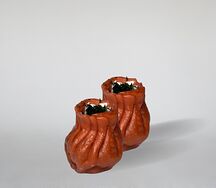 vp1