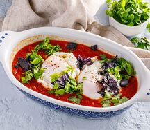 Шакшука с яйцом пашот