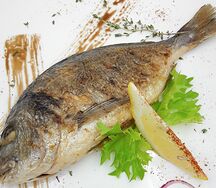 Радужная форель