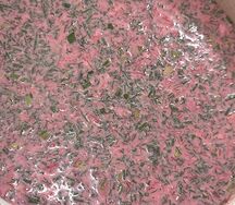 Окрошка Литовский борщ