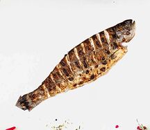 Радужная форель на мангале