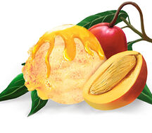 Манго-манго