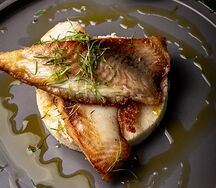 Морской окунь на подушке из кускуса