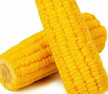 Кукуруза вареная