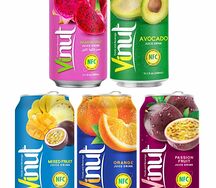 Vinut Vietnam