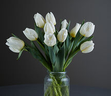White tulips