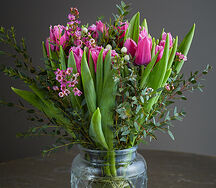 Purple tulips