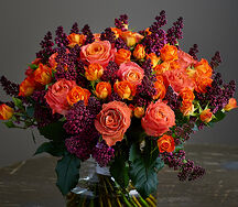 Orange perfection